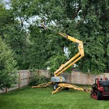 Best Commercial Tree Services  in Rockwall, TX