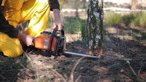 Best Utility Line Clearance  in Rockwall, TX