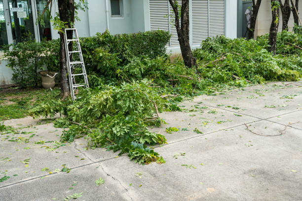 Best Lawn Mowing  in Rockwall, TX